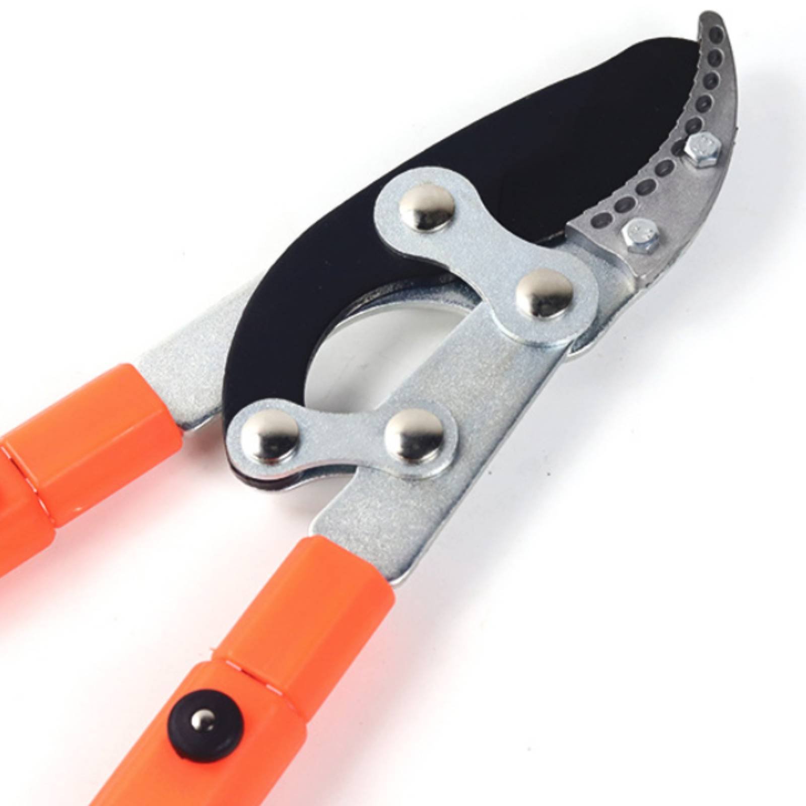 Telescopic Branch Pruners Shar - Garden Tools ulasan dan harga